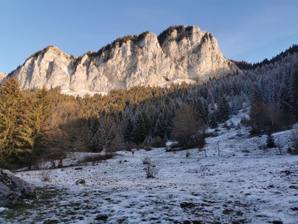 Appartamento Ecrin balneo sauna à Thollon Esterno foto