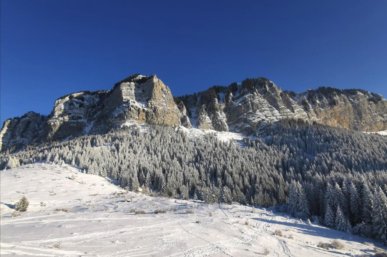 Appartamento Ecrin balneo sauna à Thollon Esterno foto