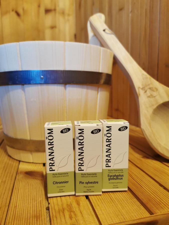 Appartamento Ecrin balneo sauna à Thollon Esterno foto
